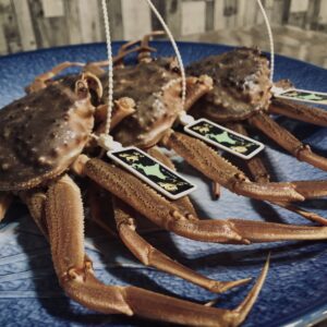 蟹,ズワイガニ,ブランド蟹,蟹刺身,生蟹,浜ゆで蟹,ポーション,蟹爪,