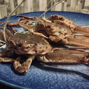 蟹,ズワイガニ,ブランド蟹,蟹刺身,生蟹,浜ゆで蟹,ポーション,蟹爪,