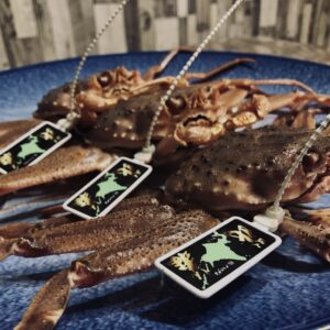 蟹,ズワイガニ,ブランド蟹,蟹刺身,生蟹,浜ゆで蟹,ポーション,蟹爪,
