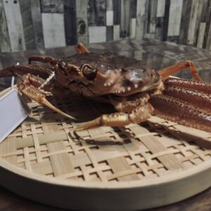 蟹,ズワイガニ,ブランド蟹,蟹刺身,生蟹,浜ゆで蟹,ポーション,蟹爪,
