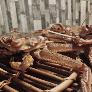 蟹,ズワイガニ,ブランド蟹,蟹刺身,生蟹,浜ゆで蟹,ポーション,蟹爪,
