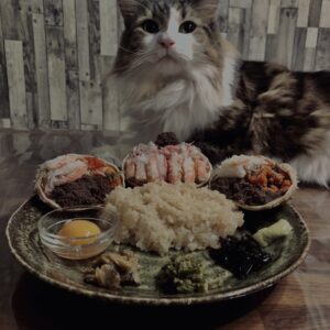 蟹,セイコガニ,香箱蟹,雌蟹,メガニ,ズワイガニ,猫,