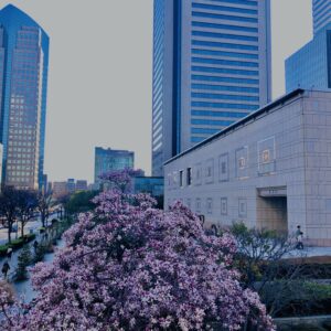 横浜,山下公園,みなとみらい,海,高層ビル,