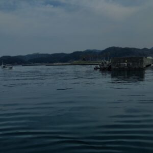 和歌山,港,友ヶ島汽船,加太港,海,テトラポット,