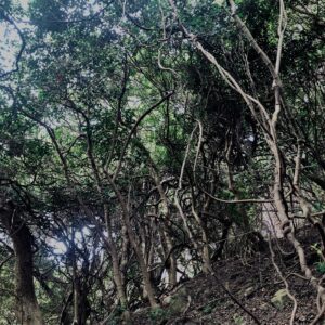 和歌山,友ヶ島,