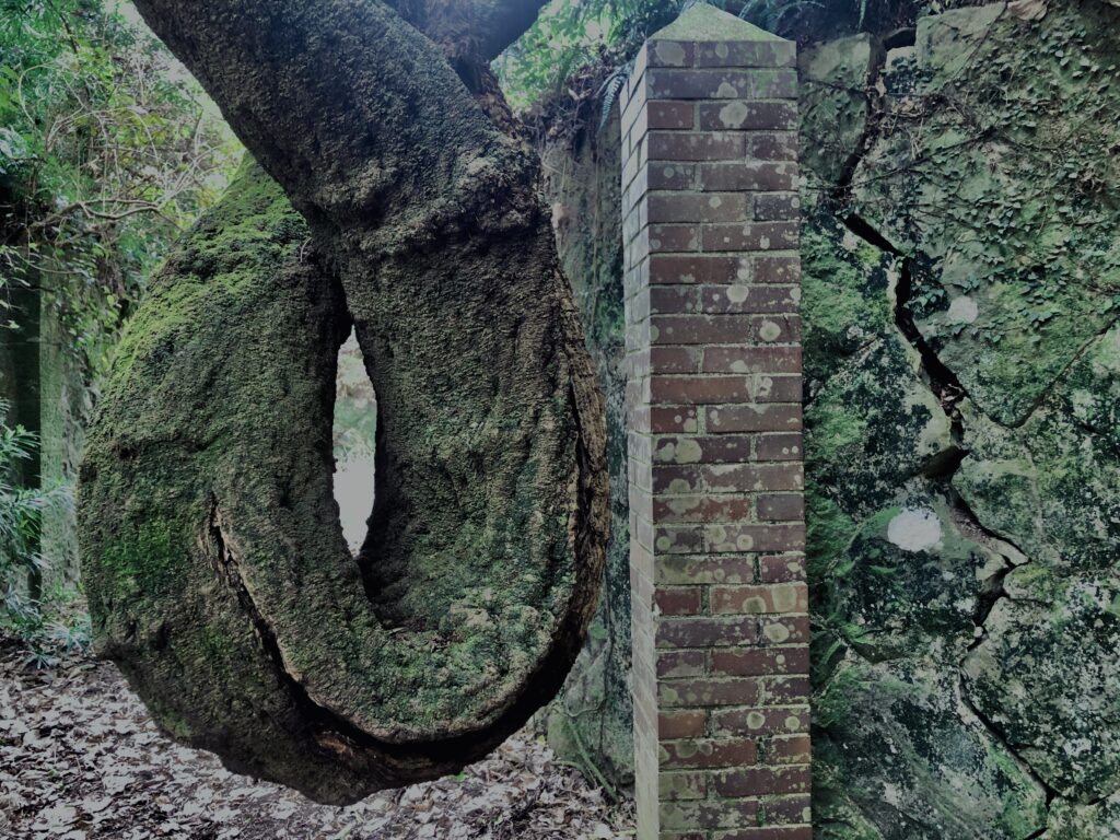 和歌山,友ヶ島,