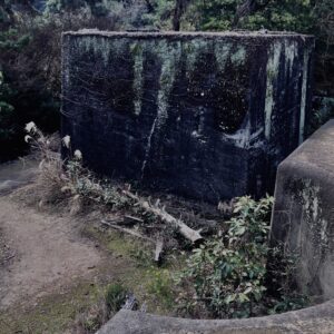 友ヶ島,砲台跡,サマータイムレンダ聖地,ラピュタの島,