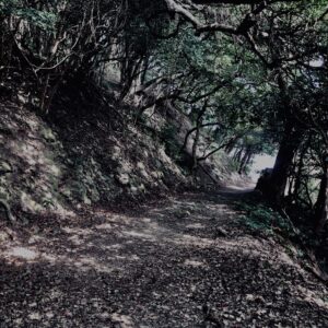 友ヶ島,砲台跡,サマータイムレンダ聖地,ラピュタの島,
