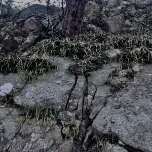 和歌山,友ヶ島,離島,