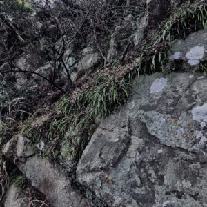 和歌山,友ヶ島,離島,