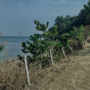 和歌山,友ヶ島,離島,