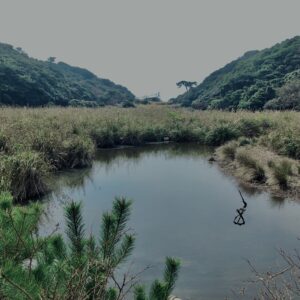 和歌山,友ヶ島,離島,