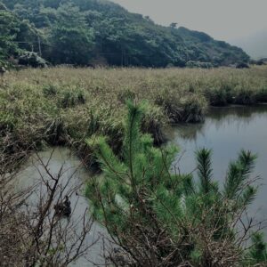 和歌山,友ヶ島,離島,