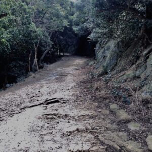 友ヶ島,林道,