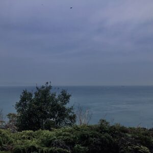 友ヶ島,