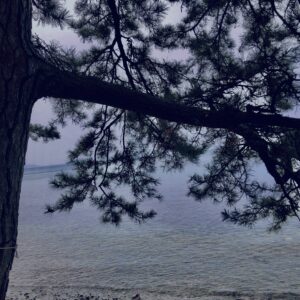 和歌山,友ヶ島,離島,瀬戸内海,紀淡海峡,