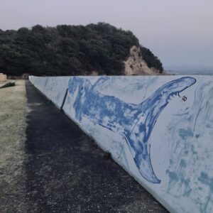 ビーチ,浜辺,海,南紀白浜,和歌山,瀬戸内海,紀淡海峡,