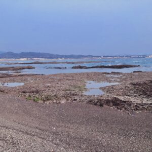 ビーチ,浜辺,海,南紀白浜,和歌山,瀬戸内海,紀淡海峡,