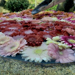 フローティングフラワー,花手水,花,水,池,花アート,フラワーアート,
