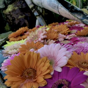 フローティングフラワー,花手水,花,水,池,花アート,フラワーアート,