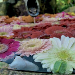 フローティングフラワー,花手水,花,水,池,花アート,フラワーアート,