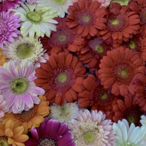 フローティングフラワー,花手水,花,水,池,花アート,フラワーアート,