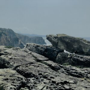 千畳敷,岩畳,大岩盤,磯,岩場,海,パワースポット,南紀白浜,和歌山観光地,吉野熊野国立公園,
