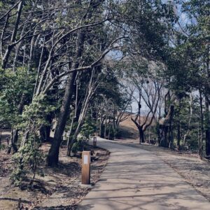 奈良,奈良公園,若草山,春日山原始林,林,自然,風景, 鹿,