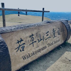 奈良,奈良公園,若草山,春日山原始林,林,自然,風景, 鹿,