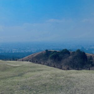 奈良,奈良公園,若草山,春日山原始林,林,自然,風景, 鹿,