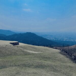 奈良,奈良公園,若草山,春日山原始林,林,自然,風景, 鹿,