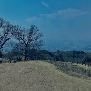 奈良,奈良公園,若草山,春日山原始林,林,自然,風景, 鹿,
