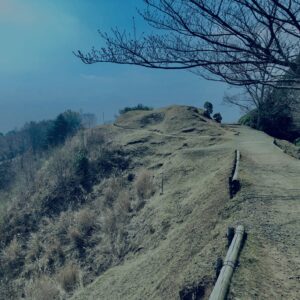 奈良,奈良公園,若草山,春日山原始林,林,自然,風景, 鹿,