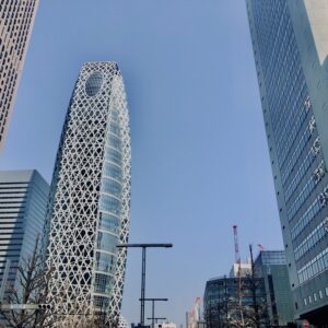 西新宿,桜,新宿,都心,23区,植物,花,春,花弁,