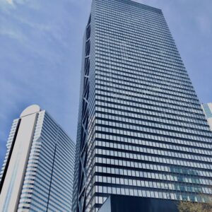 西新宿,桜,新宿,都心,23区,植物,花,春,花弁,