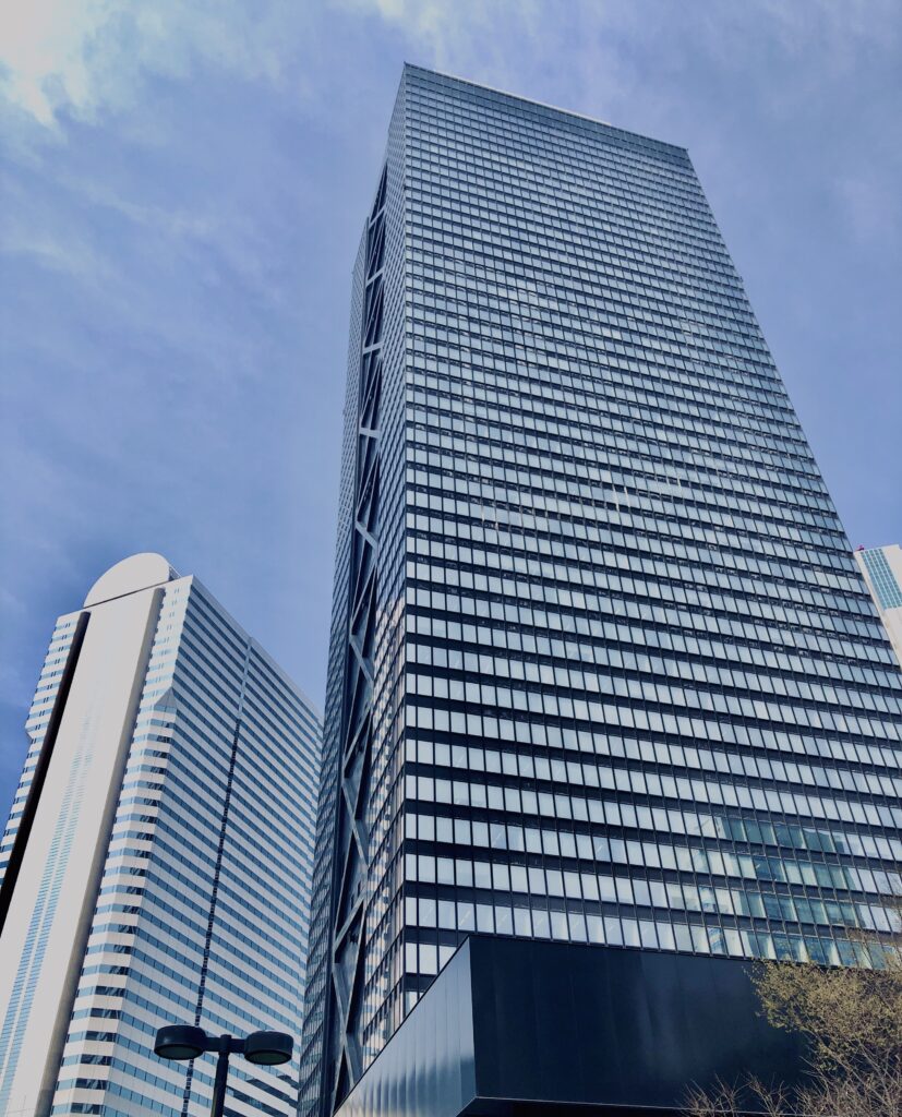西新宿,桜,新宿,都心,23区,植物,花,春,花弁,