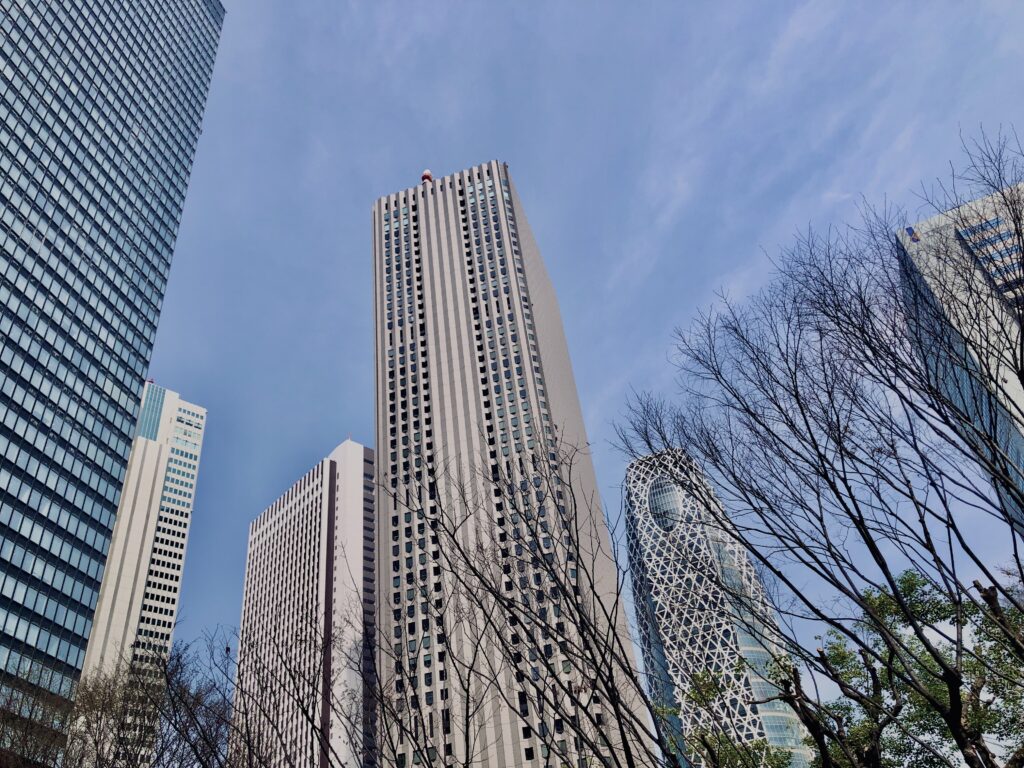 西新宿,桜,新宿,都心,23区,植物,花,春,花弁,