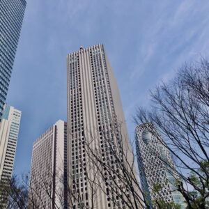 西新宿,桜,新宿,都心,23区,植物,花,春,花弁,