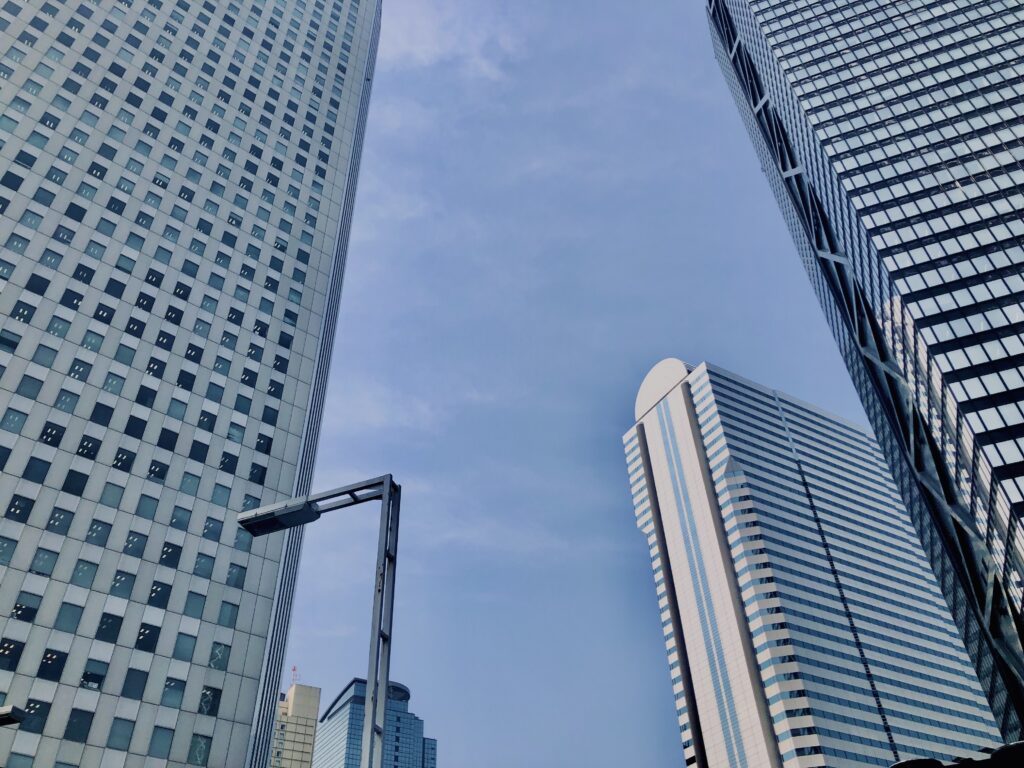 西新宿,桜,新宿,都心,23区,植物,花,春,花弁,