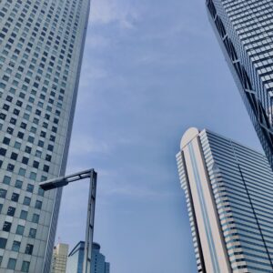 西新宿,桜,新宿,都心,23区,植物,花,春,花弁,