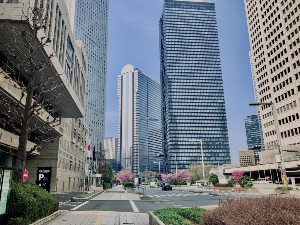 西新宿,桜,新宿,都心,23区,植物,花,春,花弁,