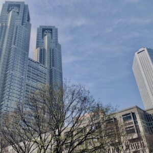 西新宿,桜,新宿,都心,23区,植物,花,春,花弁,