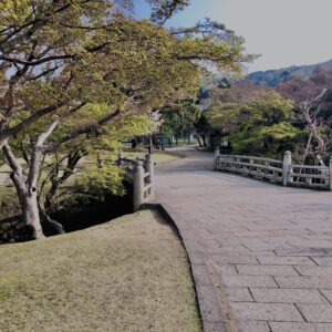 鹿,ニホンジカ,野生動物,奈良,奈良公園,若草山,春日山原始林,林,自然,風景,