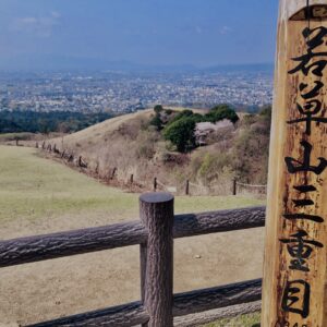 若草山,桜,花,春,花弁,奈良,奈良公園,春日山原始林,