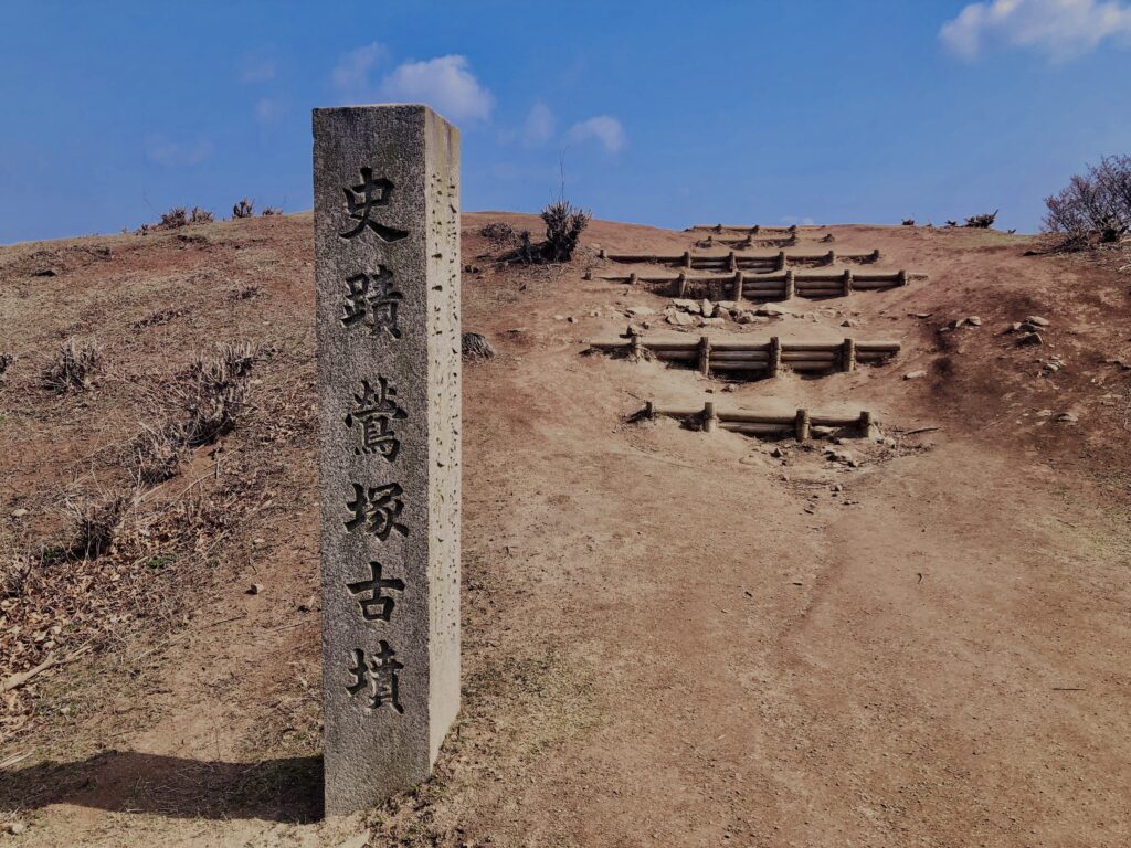 若草山,桜,花,春,花弁,奈良,奈良公園,春日山原始林,