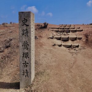 若草山,桜,花,春,花弁,奈良,奈良公園,春日山原始林,