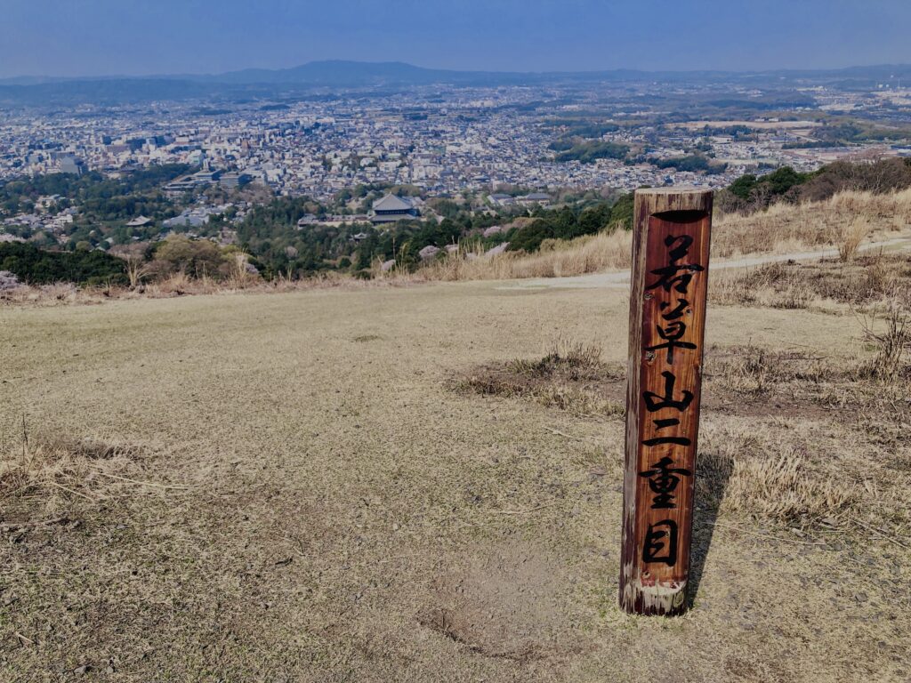若草山,桜,花,春,花弁,奈良,奈良公園,春日山原始林,