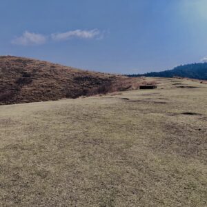 若草山,桜,花,春,花弁,奈良,奈良公園,春日山原始林,