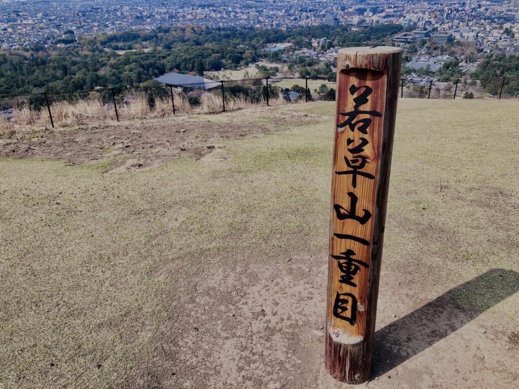 若草山,桜,花,春,花弁,奈良,奈良公園,春日山原始林,
