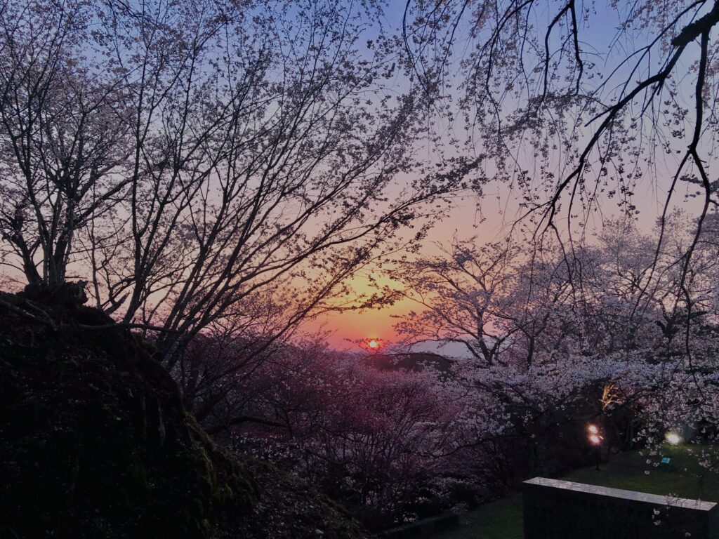 吉野山,大峰連山,奈良,桜名所,吉野熊野国立公園, 下千本,中千本,上千本,白山桜,